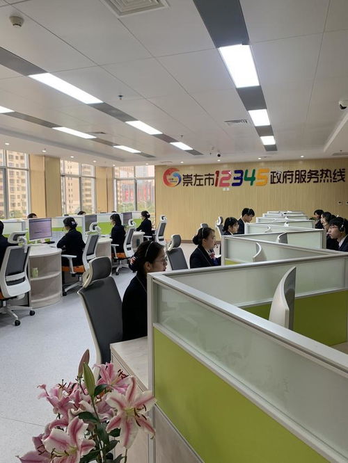 信息化提升崇左服務(wù)，大數(shù)據(jù)刷新崇左速度——以義烏經(jīng)驗(yàn)為鑒的信息技術(shù)咨詢服務(wù)之路